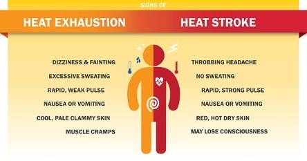 Heat exhaustion and heat stroke.